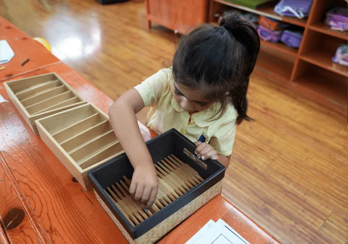 Advanced Primary program at Primanti Montessori Academy, Whittier